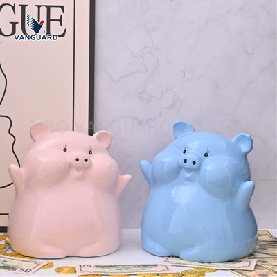 بانک پول سرامیکی زیبا